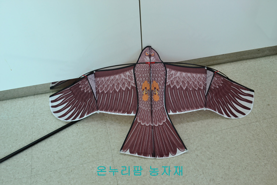 새쫓는 독수리연/ 조류퇴치(대형)-180cm